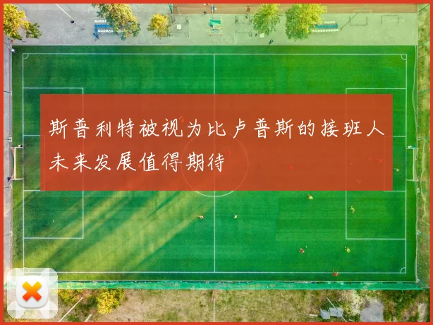 斯普利特被视为比卢普斯的接班人未来发展值得期待