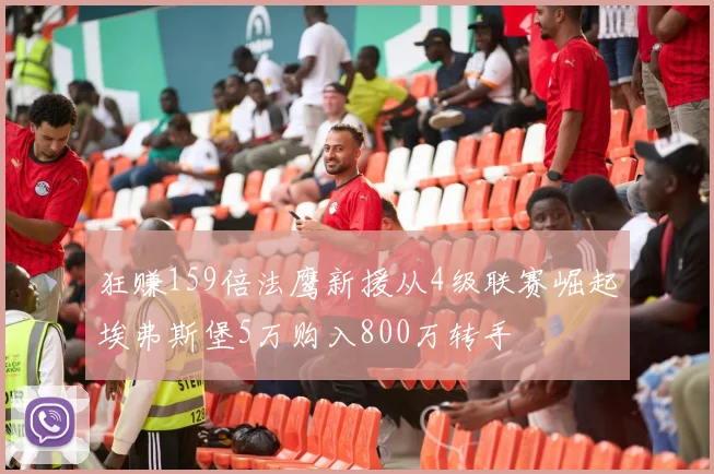 狂赚159倍法鹰新援从4级联赛崛起埃弗斯堡5万购入800万转手