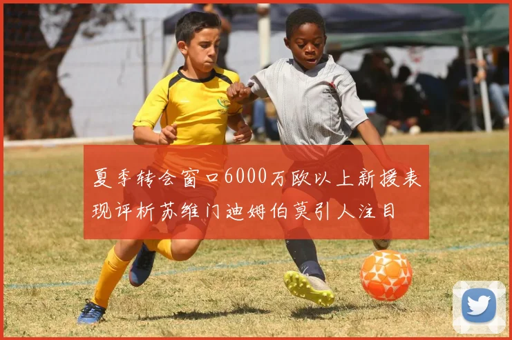 夏季转会窗口6000万欧以上新援表现评析苏维门迪姆伯莫引人注目