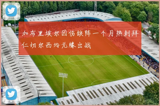 加布里埃尔因伤缺阵一个月热刺拜仁切尔西均无缘出战